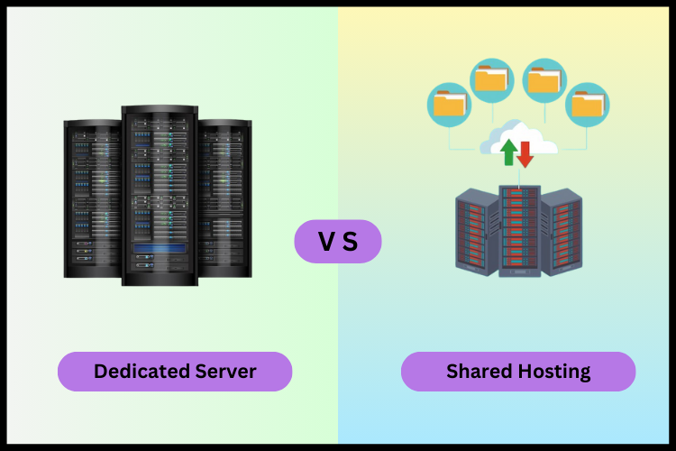 comparing dedicated server with shared hosting
